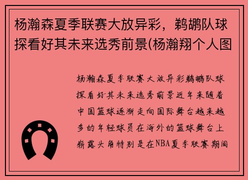 杨瀚森夏季联赛大放异彩，鹈鹕队球探看好其未来选秀前景(杨瀚翔个人图片)