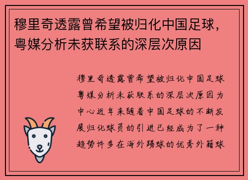 穆里奇透露曾希望被归化中国足球，粤媒分析未获联系的深层次原因