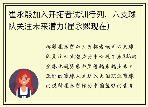 崔永熙加入开拓者试训行列，六支球队关注未来潜力(崔永熙现在)