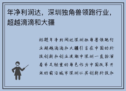 年净利润达，深圳独角兽领跑行业，超越滴滴和大疆