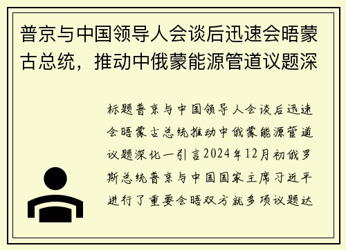普京与中国领导人会谈后迅速会晤蒙古总统，推动中俄蒙能源管道议题深化